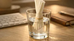 キッチンペーパーで作る卓上加湿のやり方：デスク前だけ乾く冬に試したい簡単対策