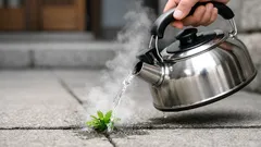 除草剤なしで雑草対策、熱湯をかけるだけで変化が出る理由とコツ